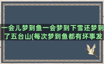 一会儿梦到鱼一会梦到下雪还梦到了五台山(每次梦到鱼都有坏事发生)