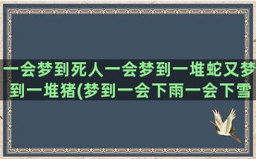 一会梦到死人一会梦到一堆蛇又梦到一堆猪(梦到一会下雨一会下雪)