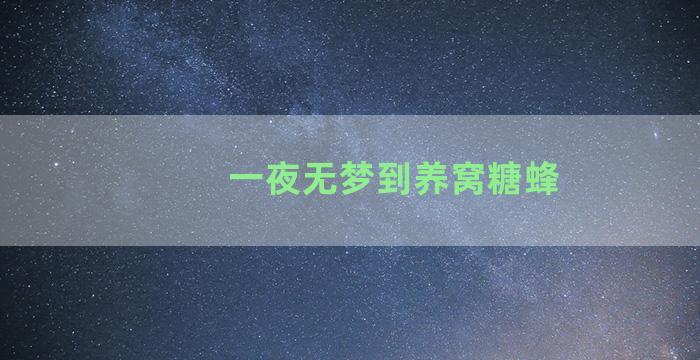 一夜无梦到养窝糖蜂