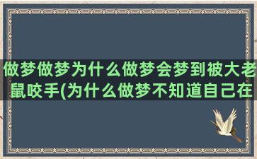 做梦做梦为什么做梦会梦到被大老鼠咬手(为什么做梦不知道自己在做梦)