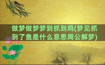 做梦做梦梦到抓到鸡(梦见抓到了鱼是什么意思周公解梦)