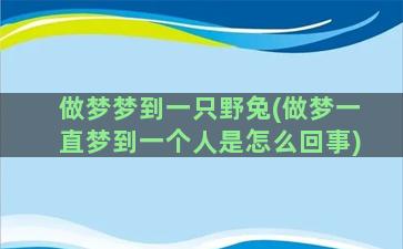 做梦梦到一只野兔(做梦一直梦到一个人是怎么回事)