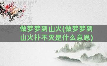 做梦梦到山火(做梦梦到山火扑不灭是什么意思)