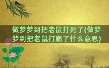 做梦梦到把老鼠打死了(做梦梦到把老鼠打扁了什么意思)