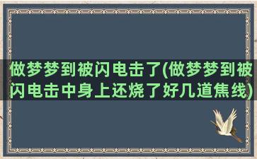 做梦梦到被闪电击了(做梦梦到被闪电击中身上还烧了好几道焦线)