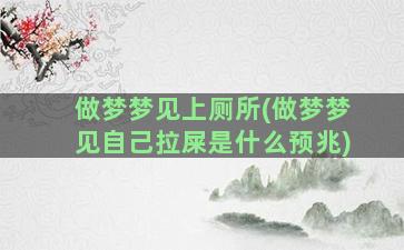 做梦梦见上厕所(做梦梦见自己拉屎是什么预兆)