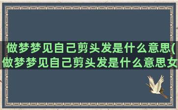 做梦梦见自己剪头发是什么意思(做梦梦见自己剪头发是什么意思女的)