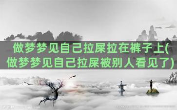 做梦梦见自己拉屎拉在裤子上(做梦梦见自己拉屎被别人看见了)