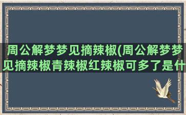 周公解梦梦见摘辣椒(周公解梦梦见摘辣椒青辣椒红辣椒可多了是什么意思)