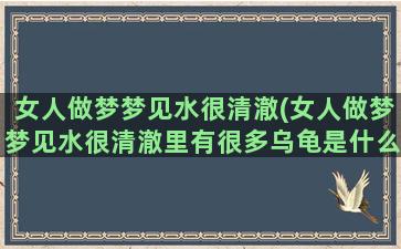 女人做梦梦见水很清澈(女人做梦梦见水很清澈里有很多乌龟是什么意思)