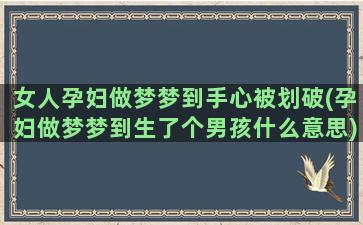 女人孕妇做梦梦到手心被划破(孕妇做梦梦到生了个男孩什么意思)