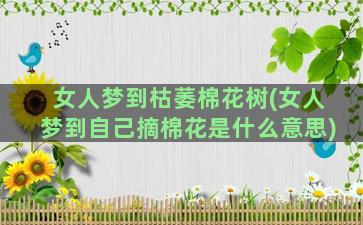 女人梦到枯萎棉花树(女人梦到自己摘棉花是什么意思)