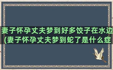 妻子怀孕丈夫梦到好多饺子在水边(妻子怀孕丈夫梦到蛇了是什么症状)