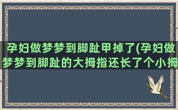 孕妇做梦梦到脚趾甲掉了(孕妇做梦梦到脚趾的大拇指还长了个小拇指)