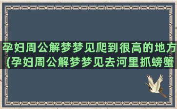 孕妇周公解梦梦见爬到很高的地方(孕妇周公解梦梦见去河里抓螃蟹)