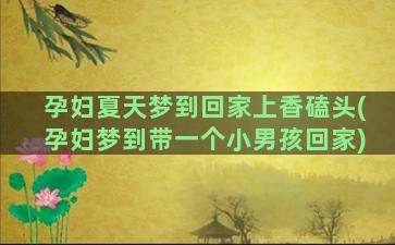 孕妇夏天梦到回家上香磕头(孕妇梦到带一个小男孩回家)