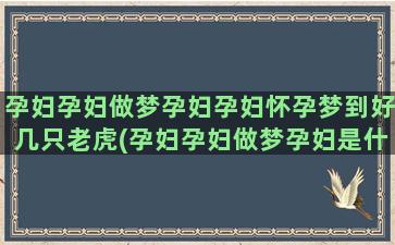 孕妇孕妇做梦孕妇孕妇怀孕梦到好几只老虎(孕妇孕妇做梦孕妇是什么意思)