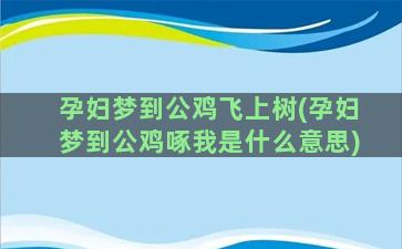 孕妇梦到公鸡飞上树(孕妇梦到公鸡啄我是什么意思)