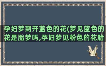 孕妇梦到开蓝色的花(梦见蓝色的花是胎梦吗,孕妇梦见粉色的花胎梦寓意)