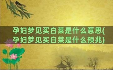 孕妇梦见买白菜是什么意思(孕妇梦见买白菜是什么预兆)