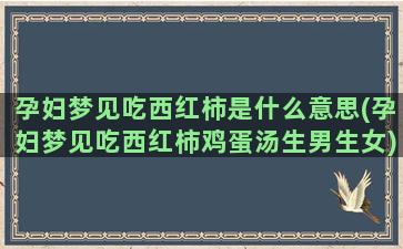 孕妇梦见吃西红柿是什么意思(孕妇梦见吃西红柿鸡蛋汤生男生女)