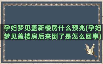 孕妇梦见盖新楼房什么预兆(孕妇梦见盖楼房后来倒了是怎么回事)