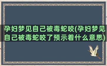 孕妇梦见自己被毒蛇咬(孕妇梦见自己被毒蛇咬了预示着什么意思)