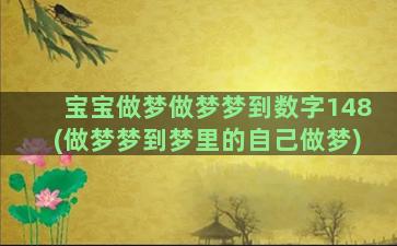 宝宝做梦做梦梦到数字148(做梦梦到梦里的自己做梦)