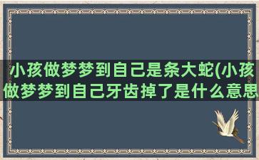 小孩做梦梦到自己是条大蛇(小孩做梦梦到自己牙齿掉了是什么意思)