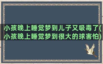 小孩晚上睡觉梦到儿子又吸毒了(小孩晚上睡觉梦到很大的球害怕)