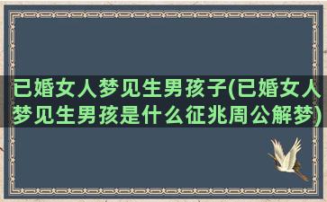 已婚女人梦见生男孩子(已婚女人梦见生男孩是什么征兆周公解梦)