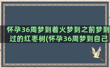 怀孕36周梦到着火梦到之前梦到过的红枣树(怀孕36周梦到自己生了个女儿)