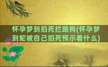 怀孕梦到掐死拦路狗(怀孕梦到蛇被自己掐死预示着什么)