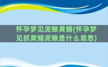 怀孕梦见泥鳅黄鳝(怀孕梦见抓黄鳝泥鳅是什么意思)