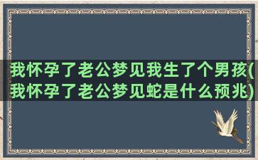 我怀孕了老公梦见我生了个男孩(我怀孕了老公梦见蛇是什么预兆)