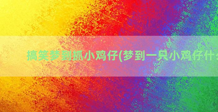 搞笑梦到抓小鸡仔(梦到一只小鸡仔什么意思)