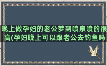 晚上做孕妇的老公梦到喷泉喷的很高(孕妇晚上可以跟老公去钓鱼吗)