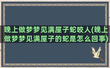 晚上做梦梦见满屋子蛇咬人(晚上做梦梦见满屋子的蛇是怎么回事)