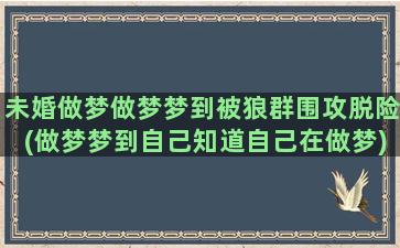 未婚做梦做梦梦到被狼群围攻脱险(做梦梦到自己知道自己在做梦)