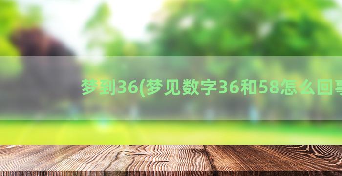 梦到36(梦见数字36和58怎么回事)