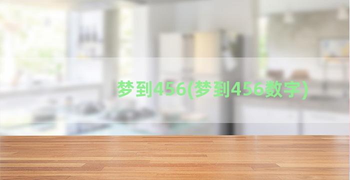 梦到456(梦到456数字)