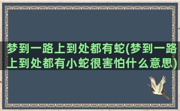 梦到一路上到处都有蛇(梦到一路上到处都有小蛇很害怕什么意思)