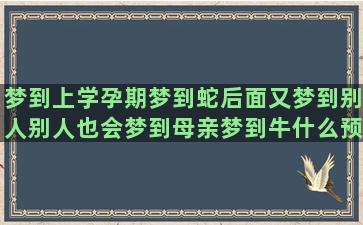 梦到上学孕期梦到蛇后面又梦到别人别人也会梦到母亲梦到牛什么预兆(做梦梦到上学然后又梦到情人)