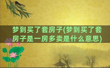 梦到买了套房子(梦到买了套房子是一房多卖是什么意思)