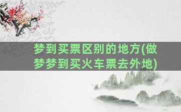 梦到买票区别的地方(做梦梦到买火车票去外地)