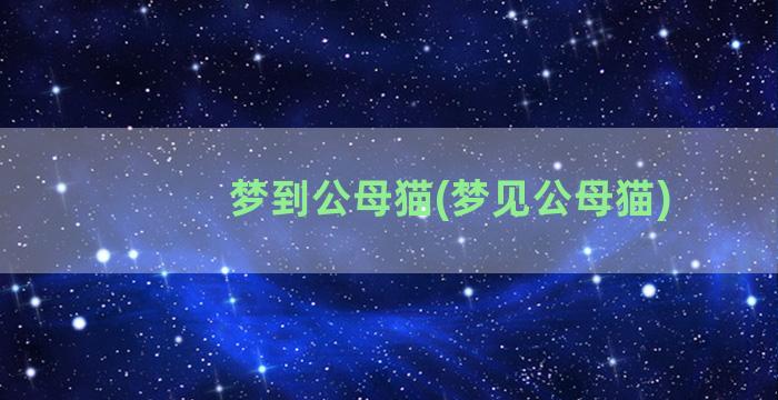 梦到公母猫(梦见公母猫)