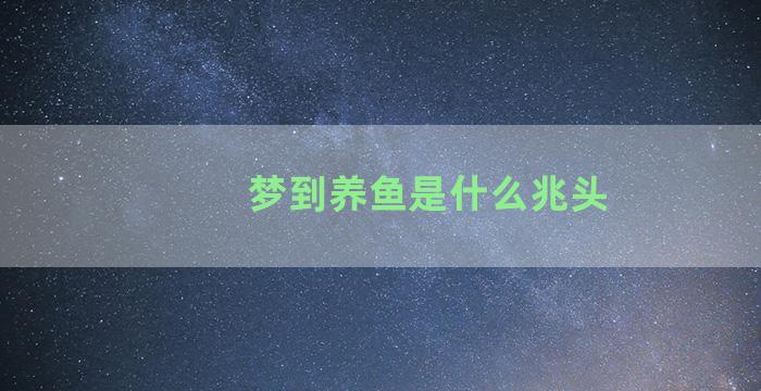 梦到养鱼是什么兆头