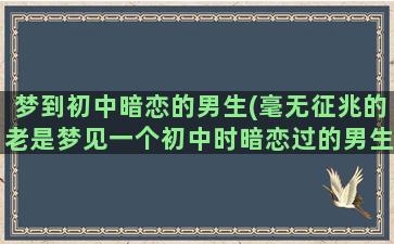 梦到初中暗恋的男生(毫无征兆的老是梦见一个初中时暗恋过的男生)