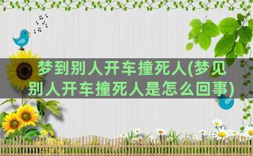 梦到别人开车撞死人(梦见别人开车撞死人是怎么回事)