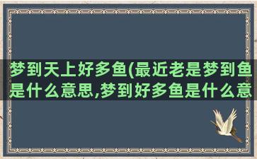 梦到天上好多鱼(最近老是梦到鱼是什么意思,梦到好多鱼是什么意思)